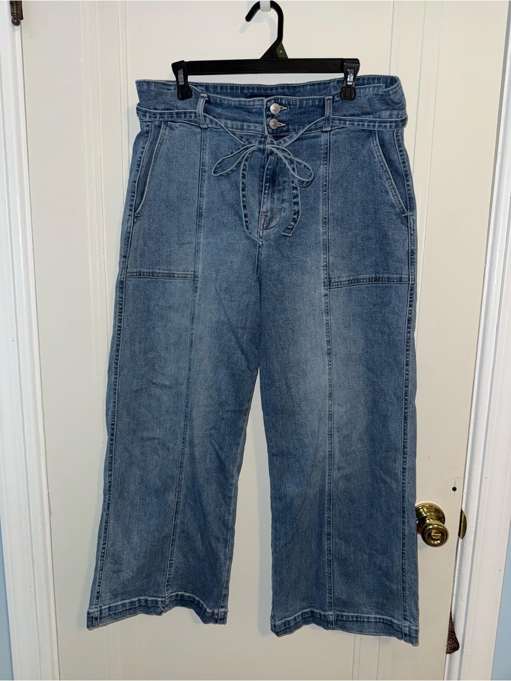 Hudson High-Waist Wide Leg Denim Pant Tie Waist Size 16